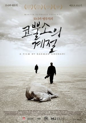 Image 코뿔소의 계절