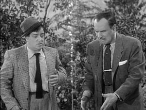 The Abbott and Costello Show Wife Wanted