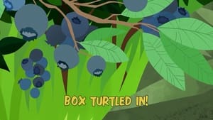 Image Box Turtled In!