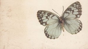 Papillon (2018)