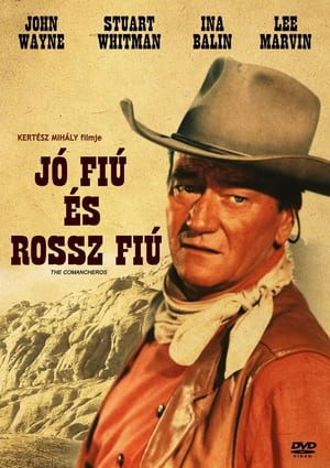 Poster Jó fiú és rossz fiú 1961