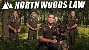 poster North Woods Law