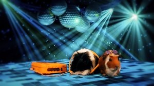 Cochon dingue: 1×28