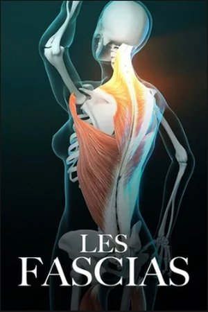 Les Alliés Cachés De Notre Organisme Les Fascias Arte (::💡::) Les Alliés Cachés De Notre Organisme – Les Fascias Film Complet