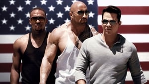 Pain & Gain 2013