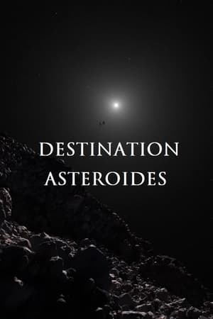 Poster Destination astéroïdes (2022)