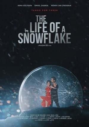 Poster The Life of a Snowflake (2022)