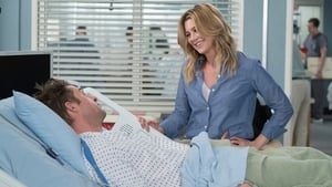 Grey’s Anatomy 14 – Episodio 17