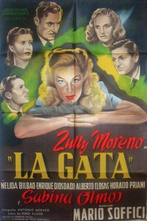 La gata poster