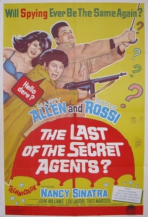 The Last of the Secret Agents? poster