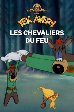 Image Les chevaliers du feu