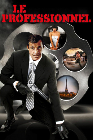 The Professional 37