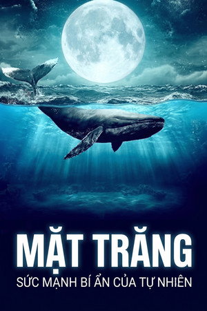 Mặt Trăng: Sức Mạnh Bí Ẩn Của Tự Nhiên