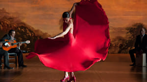 Flamenco Flamenco (2010)
