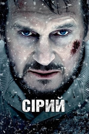 Poster Сірий 2012