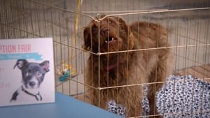 Image Adam Ruins Animals