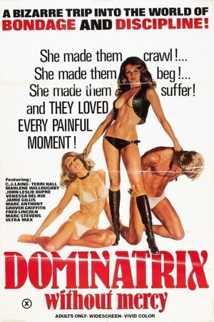 Poster Dominatrix Without Mercy 1976