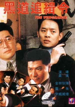 Poster The Vengeance (1995)