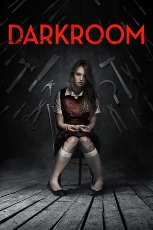 Poster Darkroom 2013