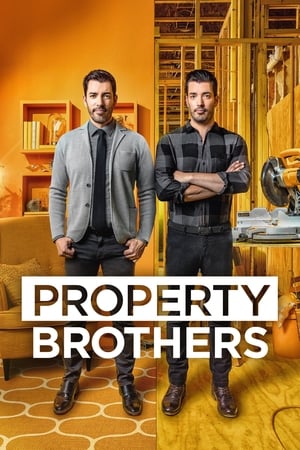 Poster Property Brothers 2011