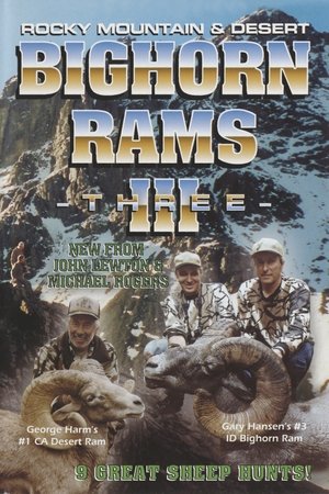 Póster de Bighorn Rams 3