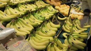 Des bananes à prix cassés