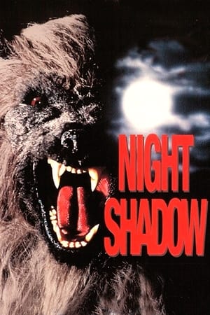 Night Shadow
