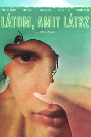 Látom, amit látsz