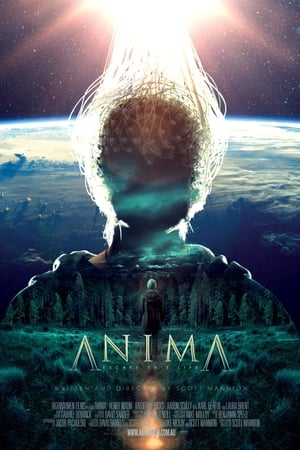 Poster Anima 2013