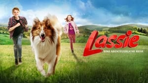 Lassie de Volta a Casa