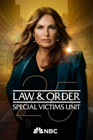 poster Law & Order: Special Victims Unit