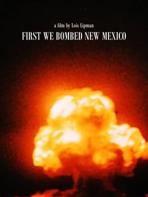 First We Bombed New Mexico