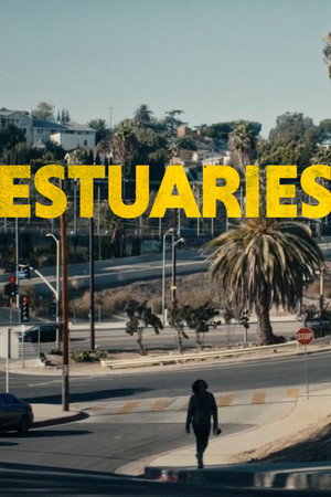Estuaries 24