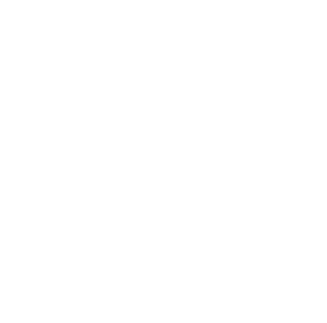 Zorro, The Gay Blade