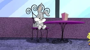 Baby Looney Tunes: 2×5