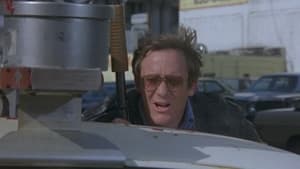 Polizeirevier Hill Street: 4×19