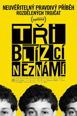 Poster Tři blízcí neznámí 2018