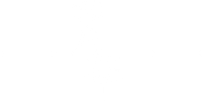 芳华 — Logos 6