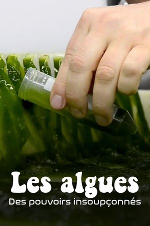 Image Les Algues : Des pouvoirs insoupçonnés