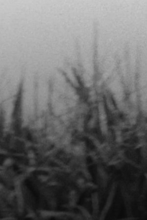 The Scythe