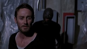 The Collection (2012)