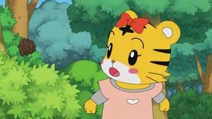 Episode 29