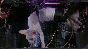 Duna (1984) FULL HD 1080P LATINO/INGLES
