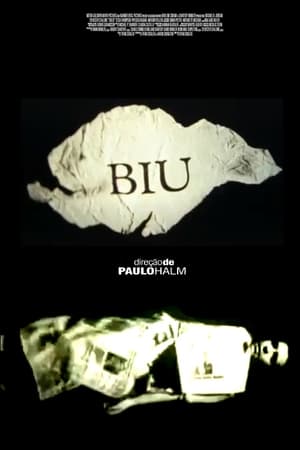 Poster Biu, a Vida Real Não Tem Retake (1995)