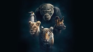 Dynasties (2018)