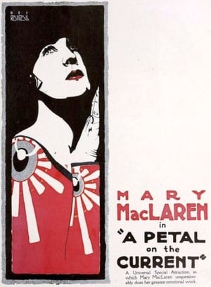 A Petal on the Current poster