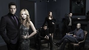 Ringer TV Show Watch