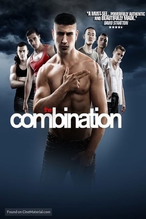 Poster The Combination (2009)