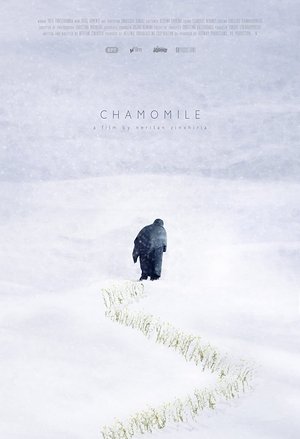 Image Chamomile