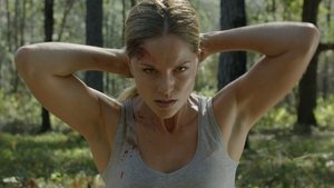 Venganza (2020) DVDRIP LATINO
